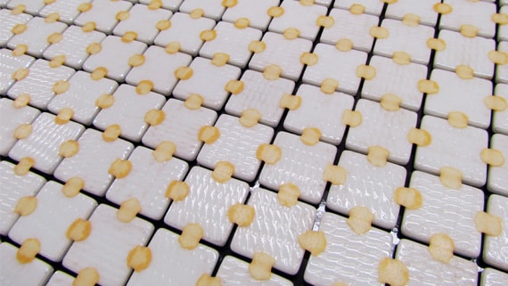 JointPoint system for mosaics