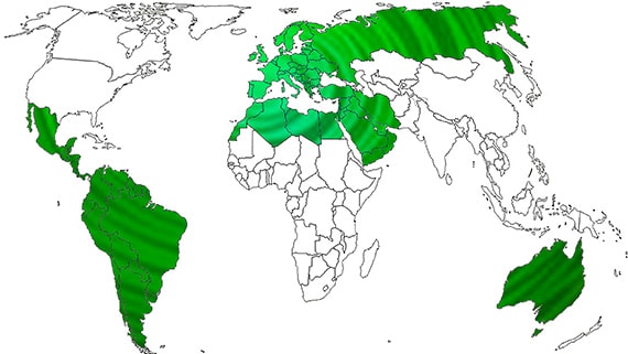 Worldwide expansion of Ezarri