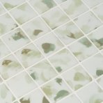 Blots 50